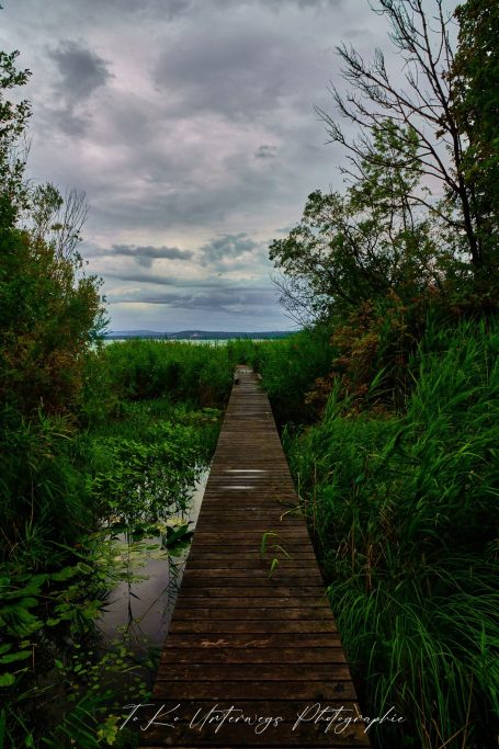 Holzsteg führt durch üppige Vegetation zu einem stillen, bewölkten Gewässer.