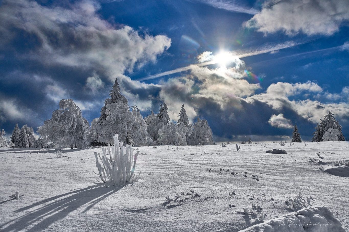 Winterlandschaft mit schneebedeckten Bäumen und strahlender Sonne unter einem blauen Himmel.